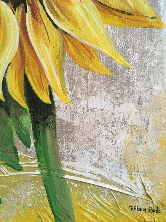 Sunflower on linen