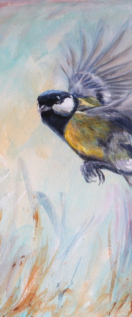 Mr Bluetit by Ruth  Aslett