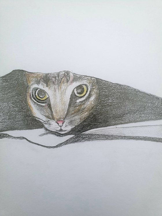 In the Darkness | Cat Drawing with Pencil and Charcoal A4 Size