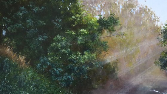 Sunlight Through River Trees