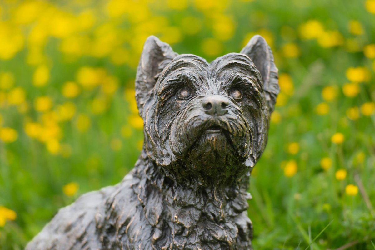 West Highland Terrier FB by Tanya Russell