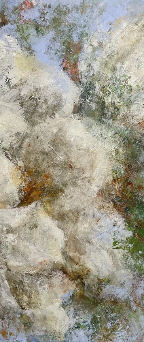 White blossom by Miri Baruch