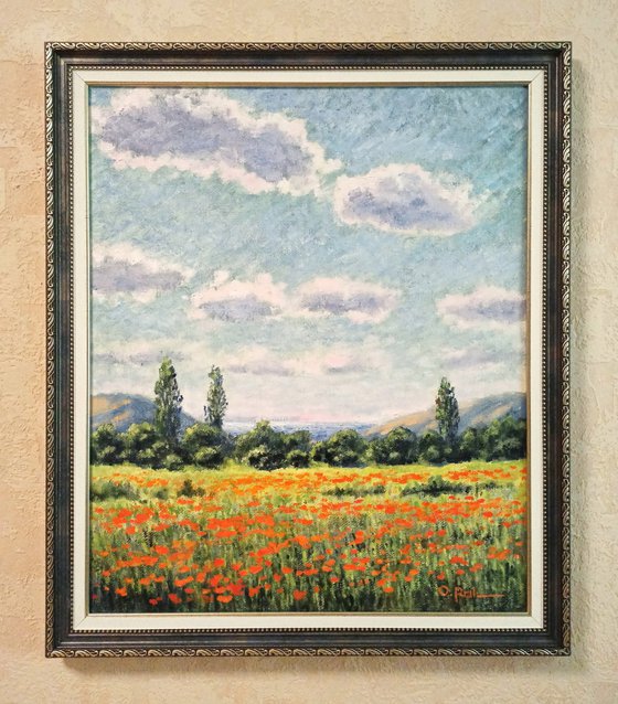 Poppy field