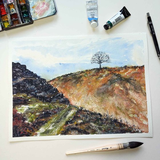 The Tree On The Ridge
