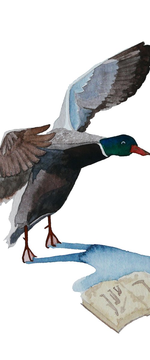 Ducks and books, part 2. Practicing by Karina Danylchuk