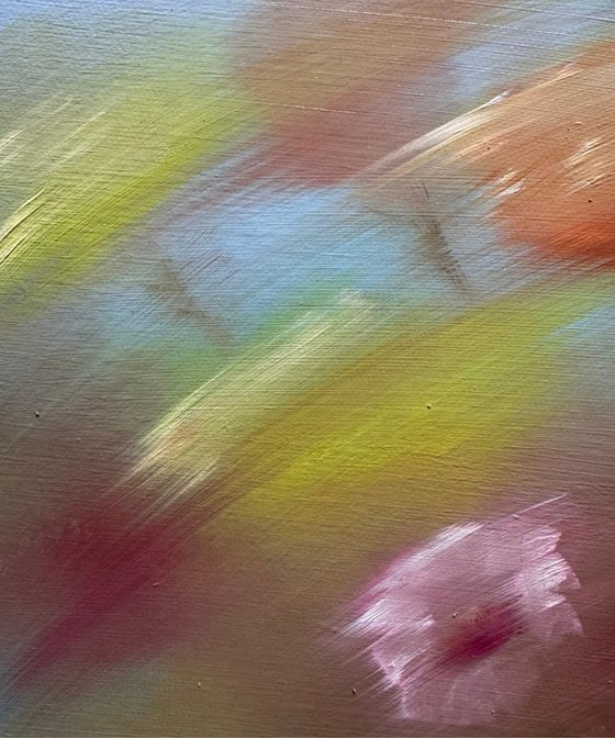 Dissolve in the poppies
