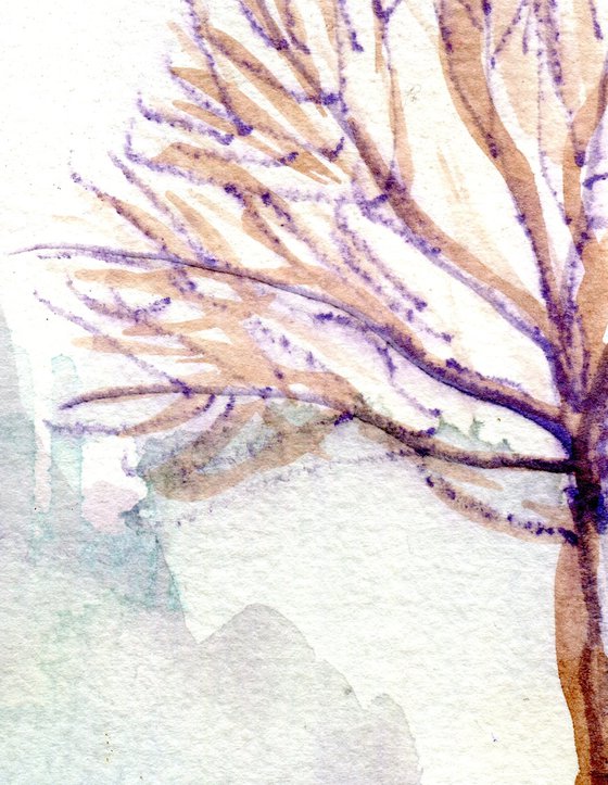 Winter Garden