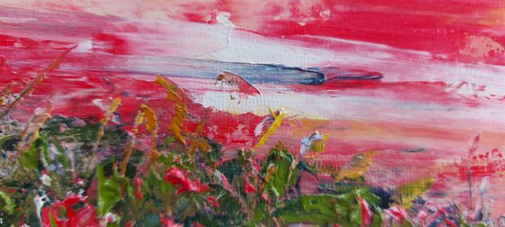 Red Sky Delight