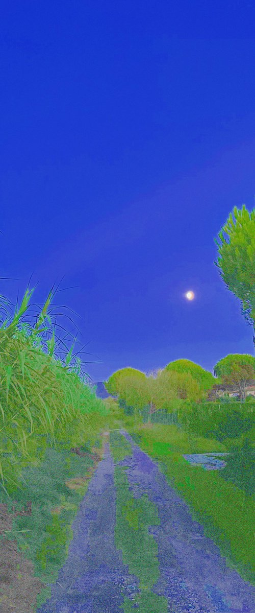 ABC#203 Magritte by Mattia Paoli