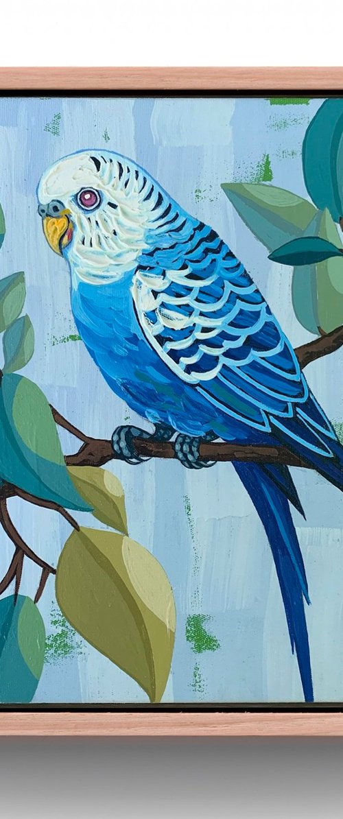 Budgie Beauties: Twinkle by JULIE LYNCH