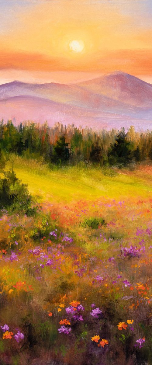 Blooming meadow in mountains by Lucia Verdejo