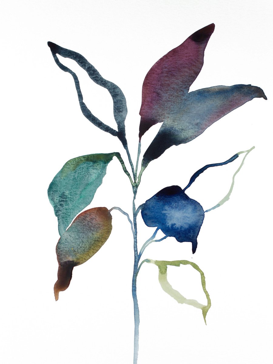 Plant Study No. 87 by Elizabeth Becker