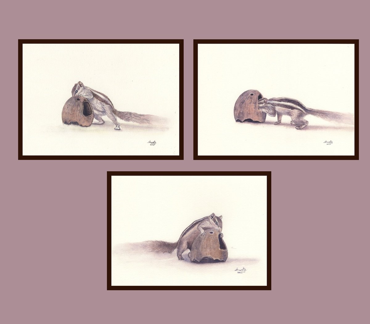 Photorealistic Animal Watercolour By Shweta Mahajan, 7 X 6", Squirrel And The Coconut, Original Artwork