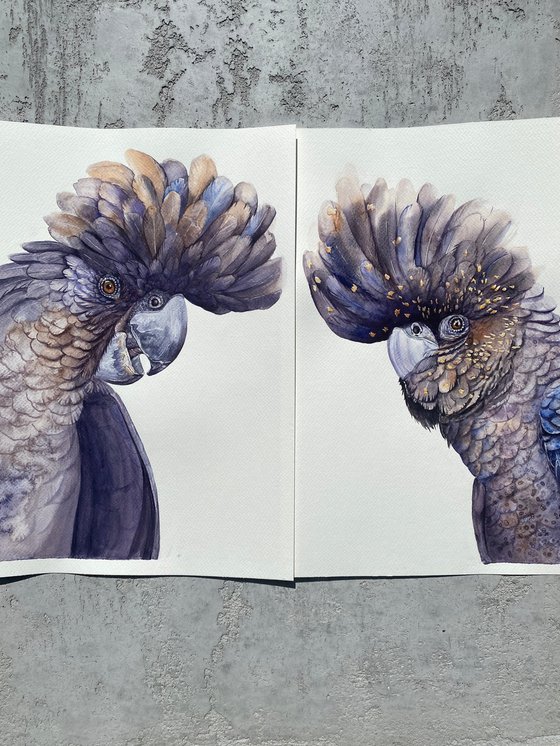The Dark Crest Duo