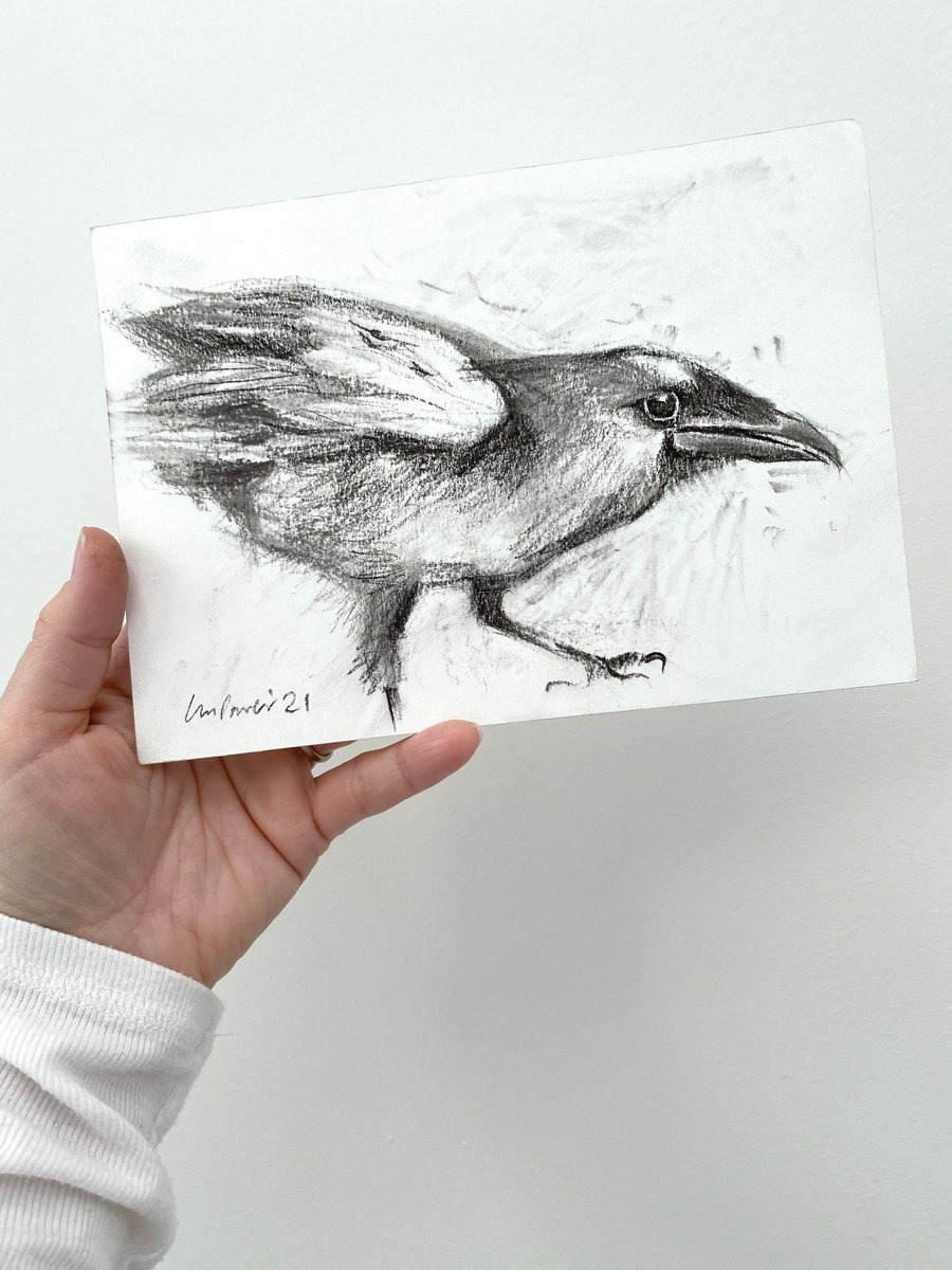 Raven #05 - charcoal drawing on matted paper - A5 148mm x 210mm by Luci Power