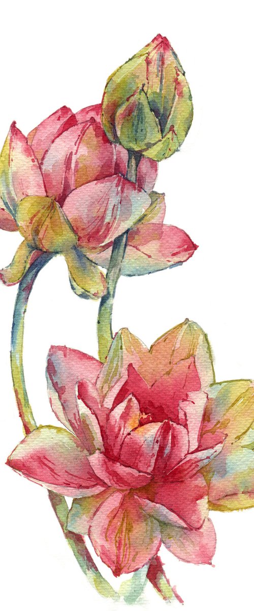 Original watercolor painting "Lotus - the flower of life" by Ksenia Selianko