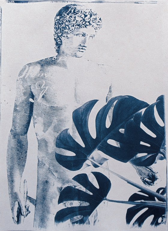 Cyanotype_01_A3_Mediterraneo