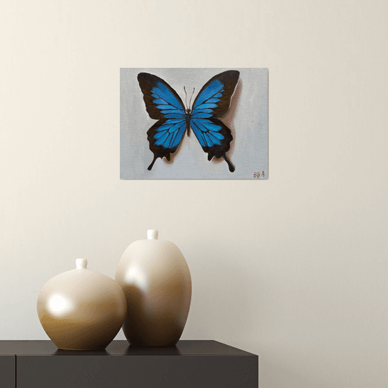 blue butterfly