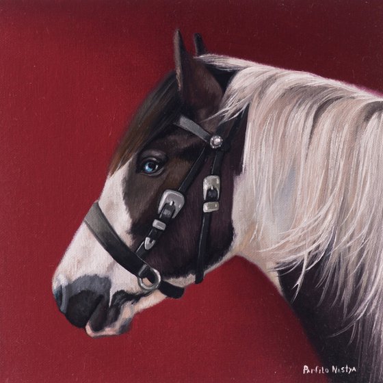 Horse Portrait 33