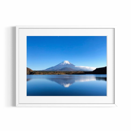 FUJI REFLECT