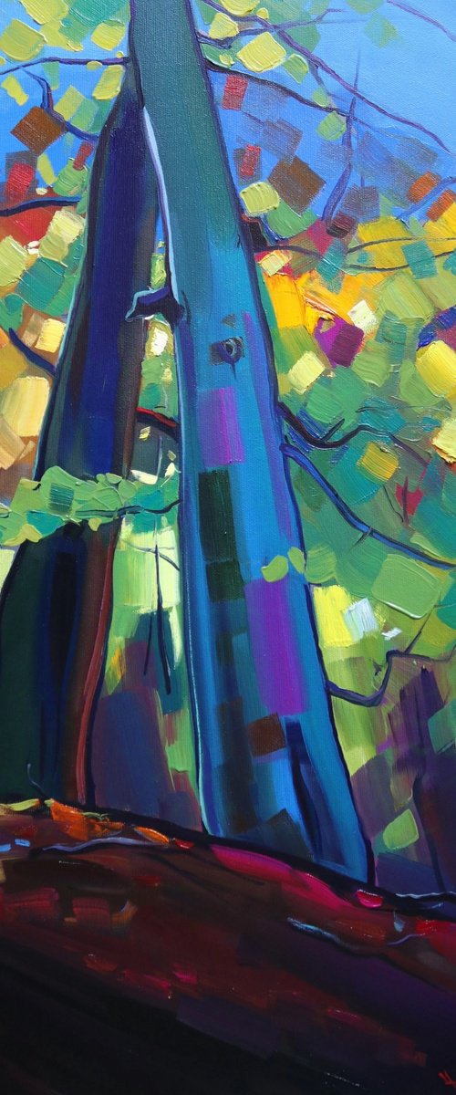 Autumn trees in forest by Tigran Avetyan
