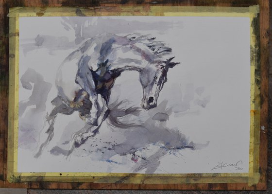 Horse study 3   ( commission  for Emily )