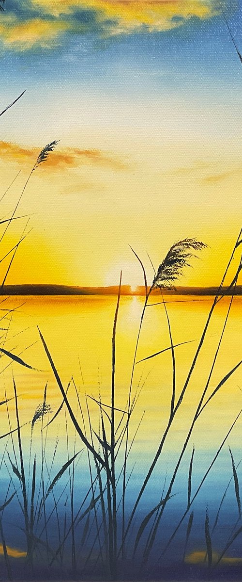 First Light by Alla Kallass