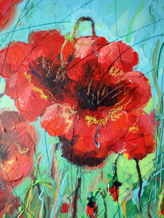 Poppies Red