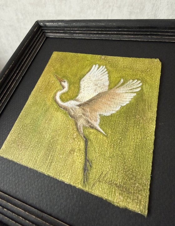 White Egret