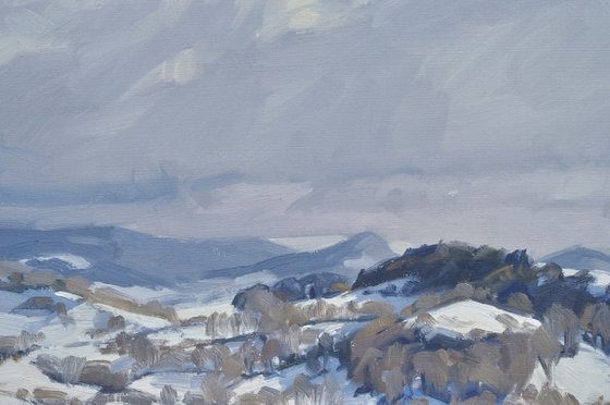 January 19, snow on the Monts du Velay