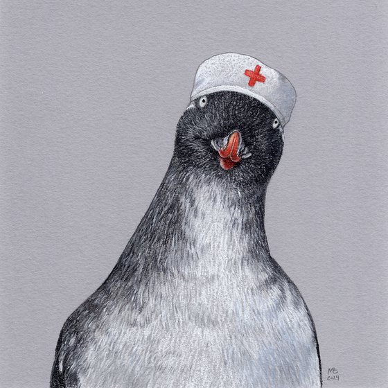 Parakeet auklet