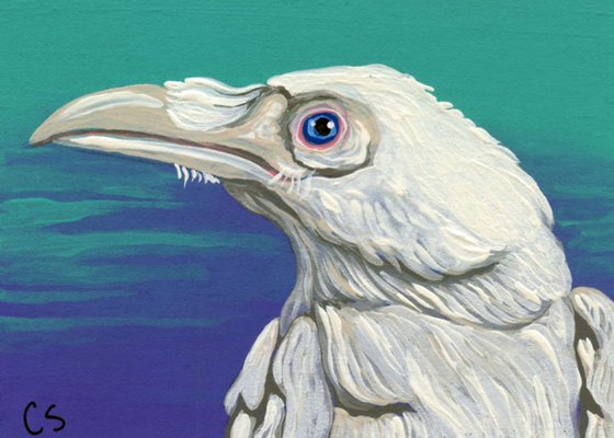 ACEO ATC Original Painting White Raven Crow Bird Wildlife Art-Carla Smale