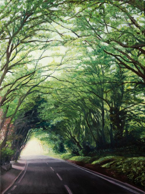 Driving Down Hendon Wood Lane by Diana Sandetskaya