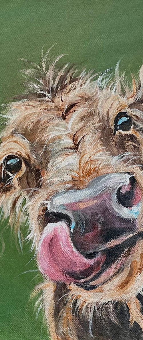 Cow Lick by Louise Brown