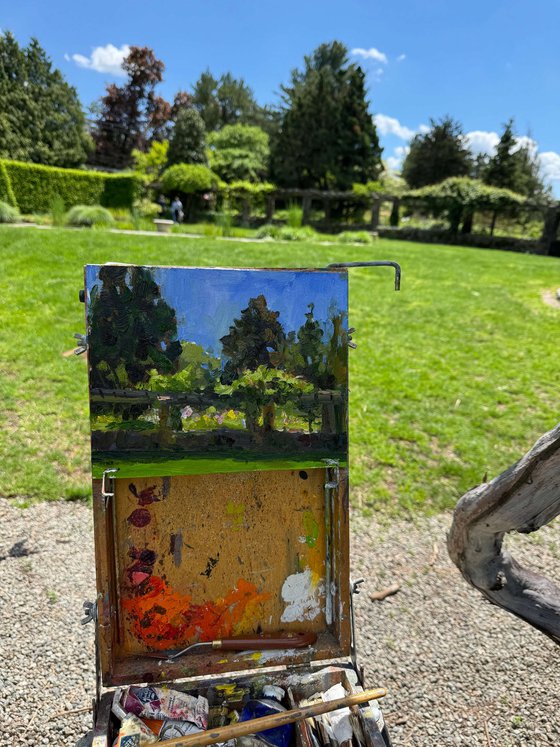 Spring Morning in the Garden