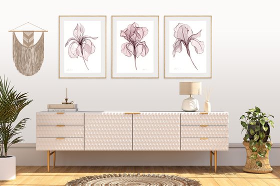 3 Irises