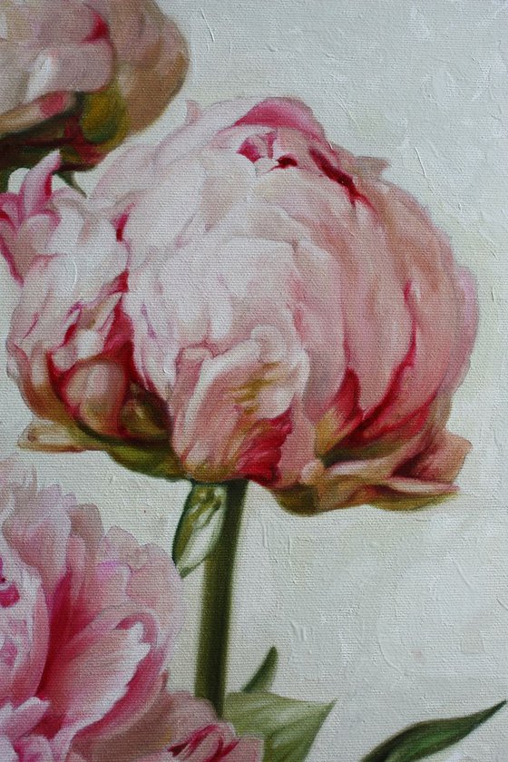 pink peonies