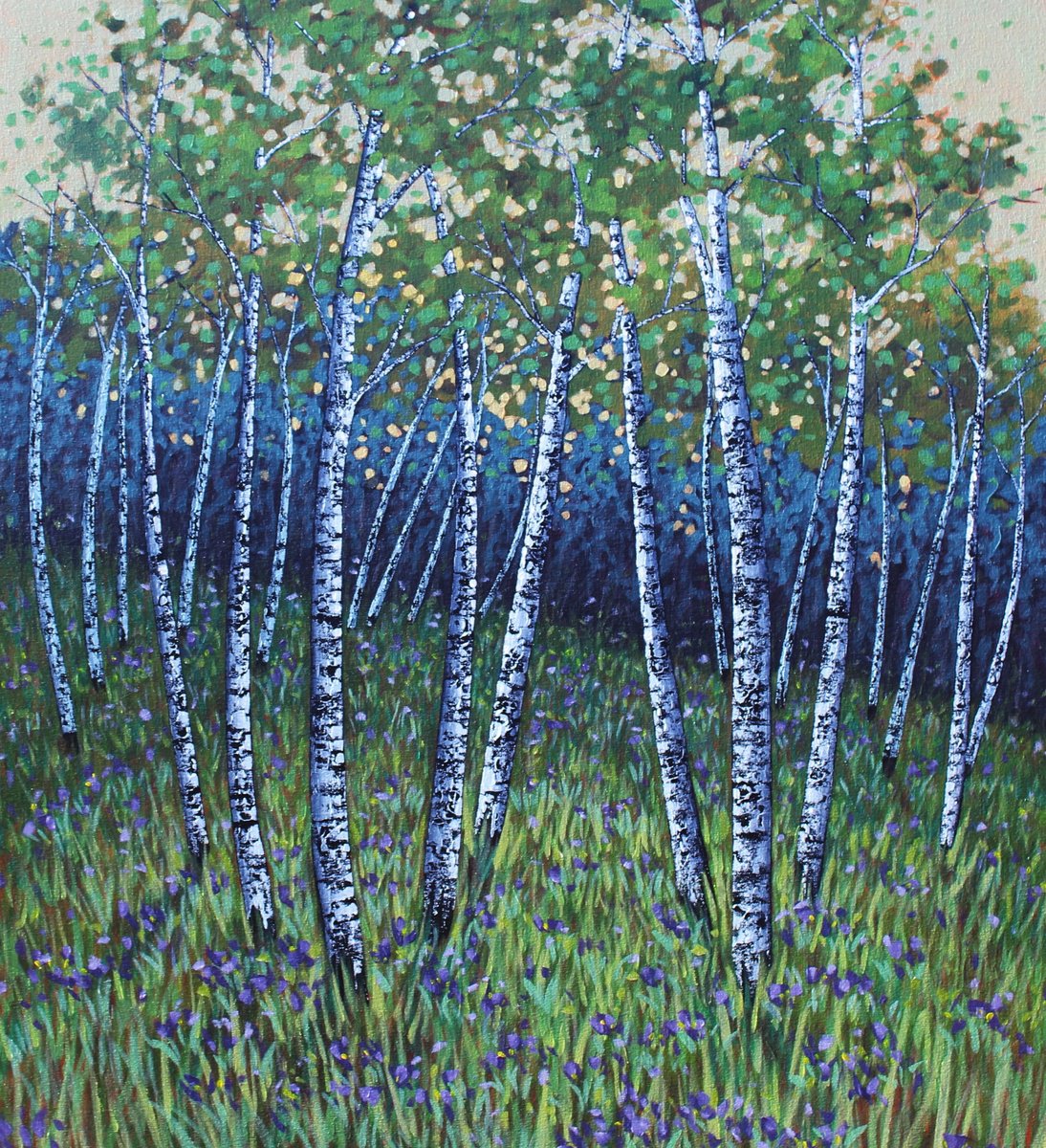 Impressionistic Landscape Acrylic Painting By Sage Mountain Studio, 36 X 40", East Coast Birches, Original Artwork