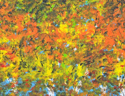 Autumn In Birch Trees 1 by Daniel Urbaník