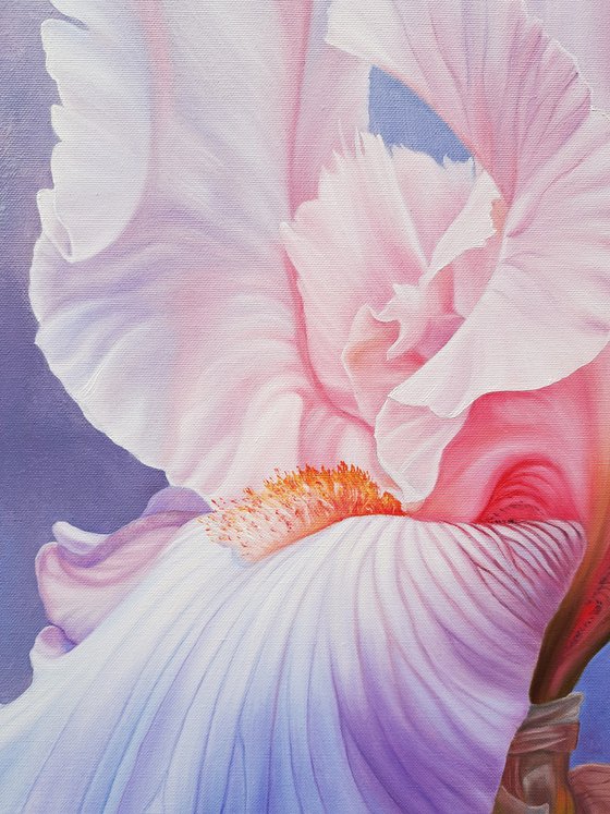 "Portrait of Iris. Vivien", realistic pink flower painting, floral art