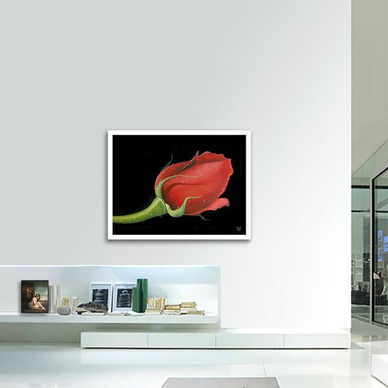 Red Rose