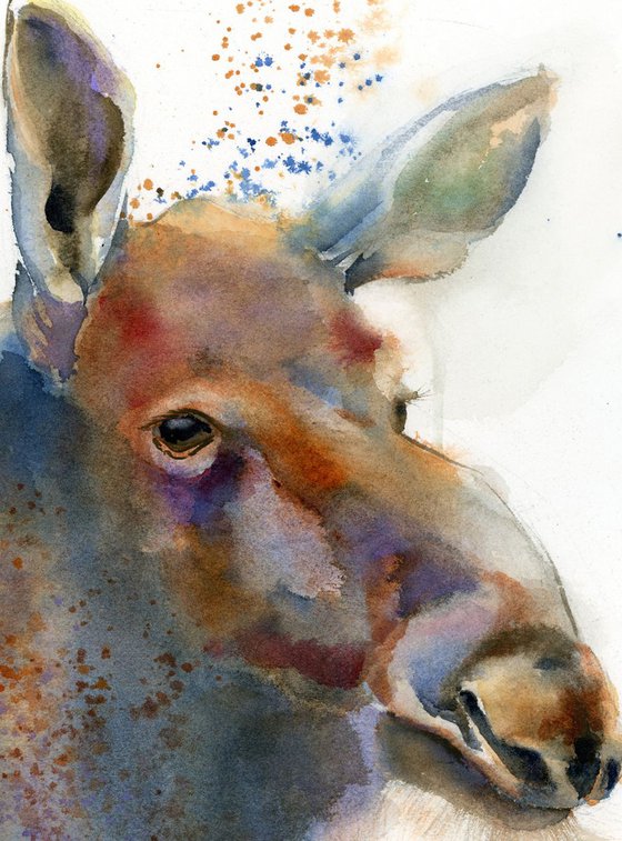 Moose portrait