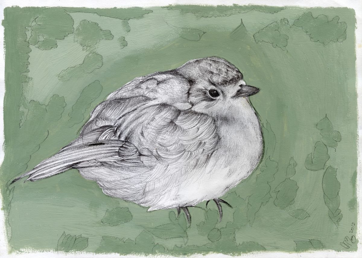 A plump little robin by Nancy M Chara