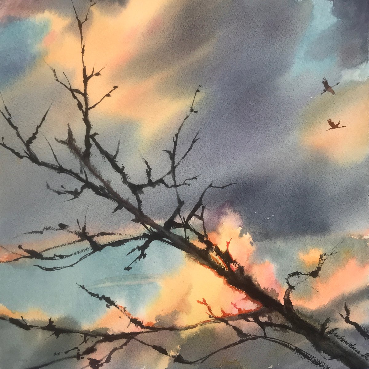 Branch. A branch against the sunset cloudy sky. by Maria Beklemisheva