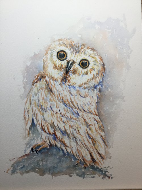 Baby owl by Sabrina’s Art