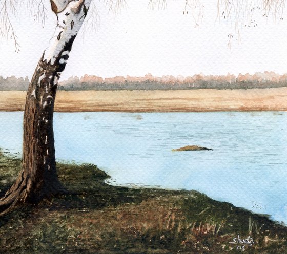 River birch tree