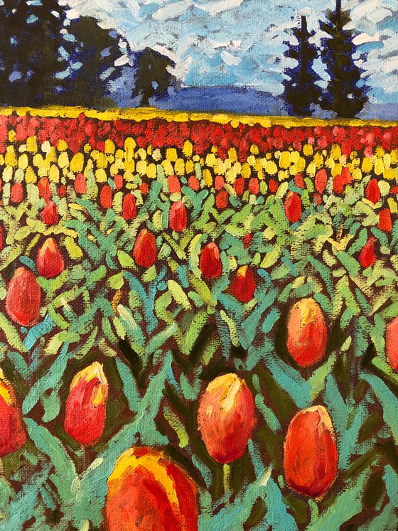 Red tulips