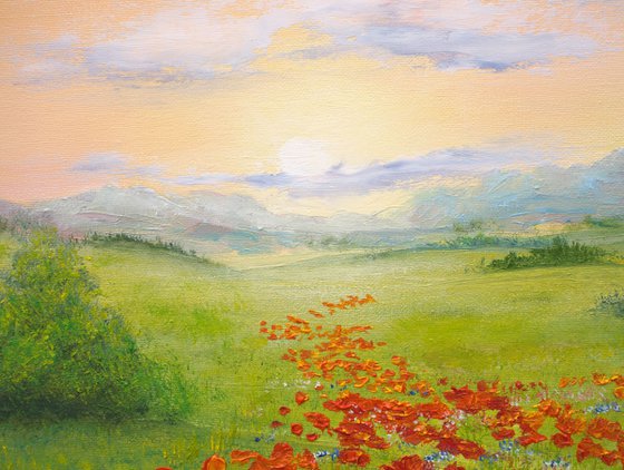 Poppy field by sunrise