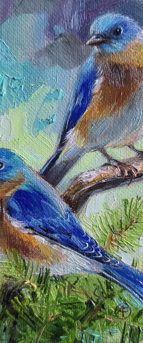 Two Bluebirds by Nataly Derevyanko