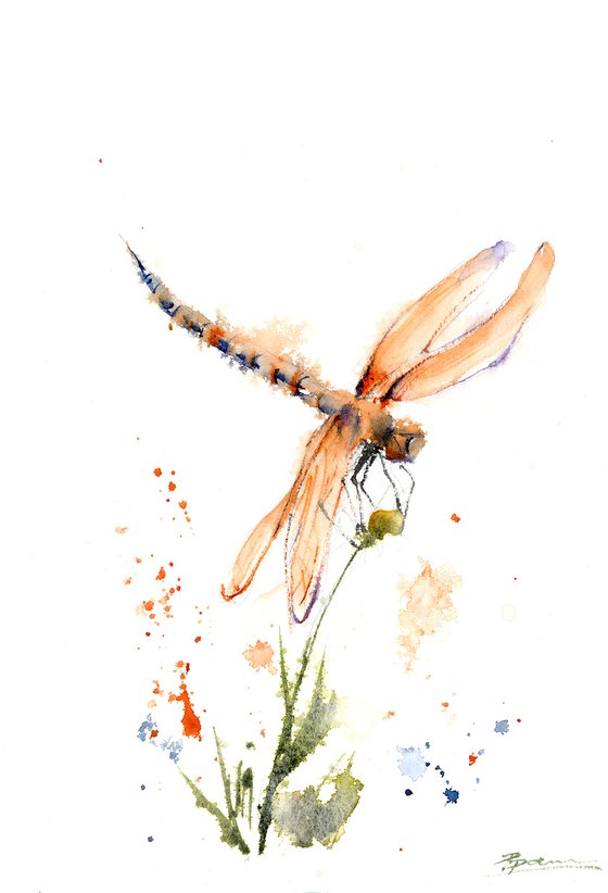 Dragonfly